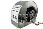 903409 blower assembly 1-speed 115V 1/8hp for M1 furnace (1 in stock) Last one